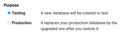 Selection of the "Testing" purpose in the upgrade form on Odoo